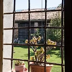 Ca' Contarini *